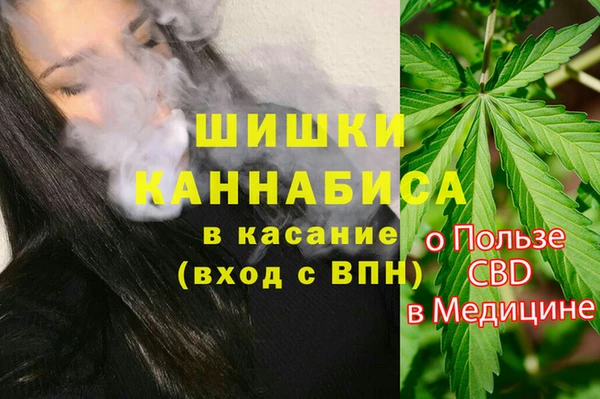 соль ск Горно-Алтайск