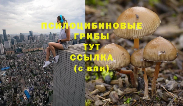 а пвп мука Горняк