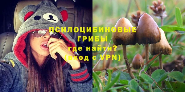 хмурый Горнозаводск