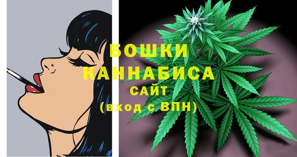 соль ск Горно-Алтайск