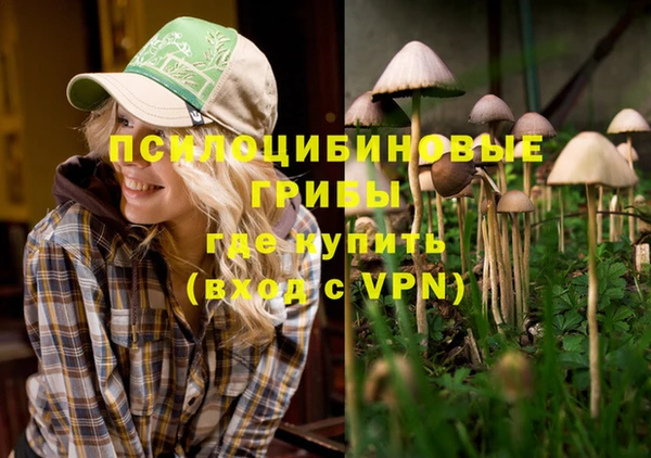 соль ск Горно-Алтайск