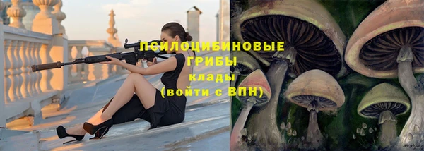 а пвп мука Горняк
