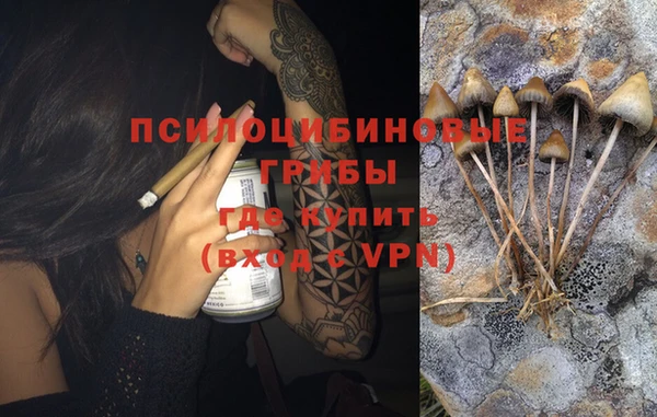 а пвп мука Горняк